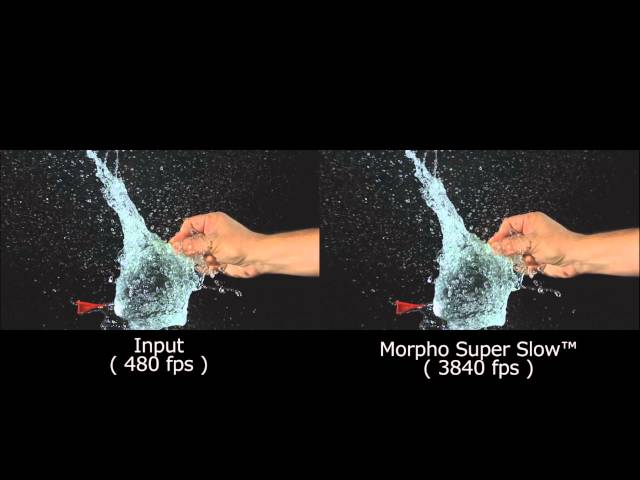 https://www.morphoinc.com/zwj675qzb/wp-content/uploads/2020/10/Morpho-Super-Slow_20151101-640_480.png